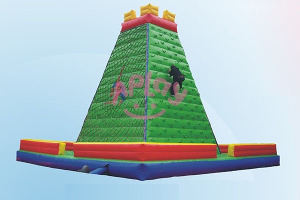 AP-IB0017