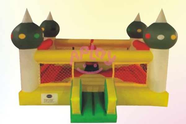 AP-IB0029