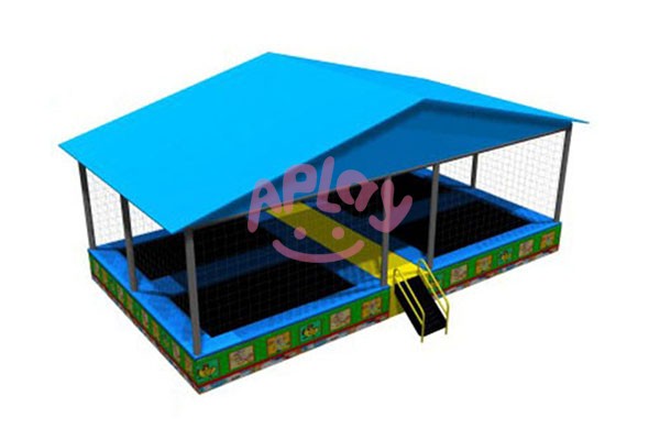 AP-ITP19